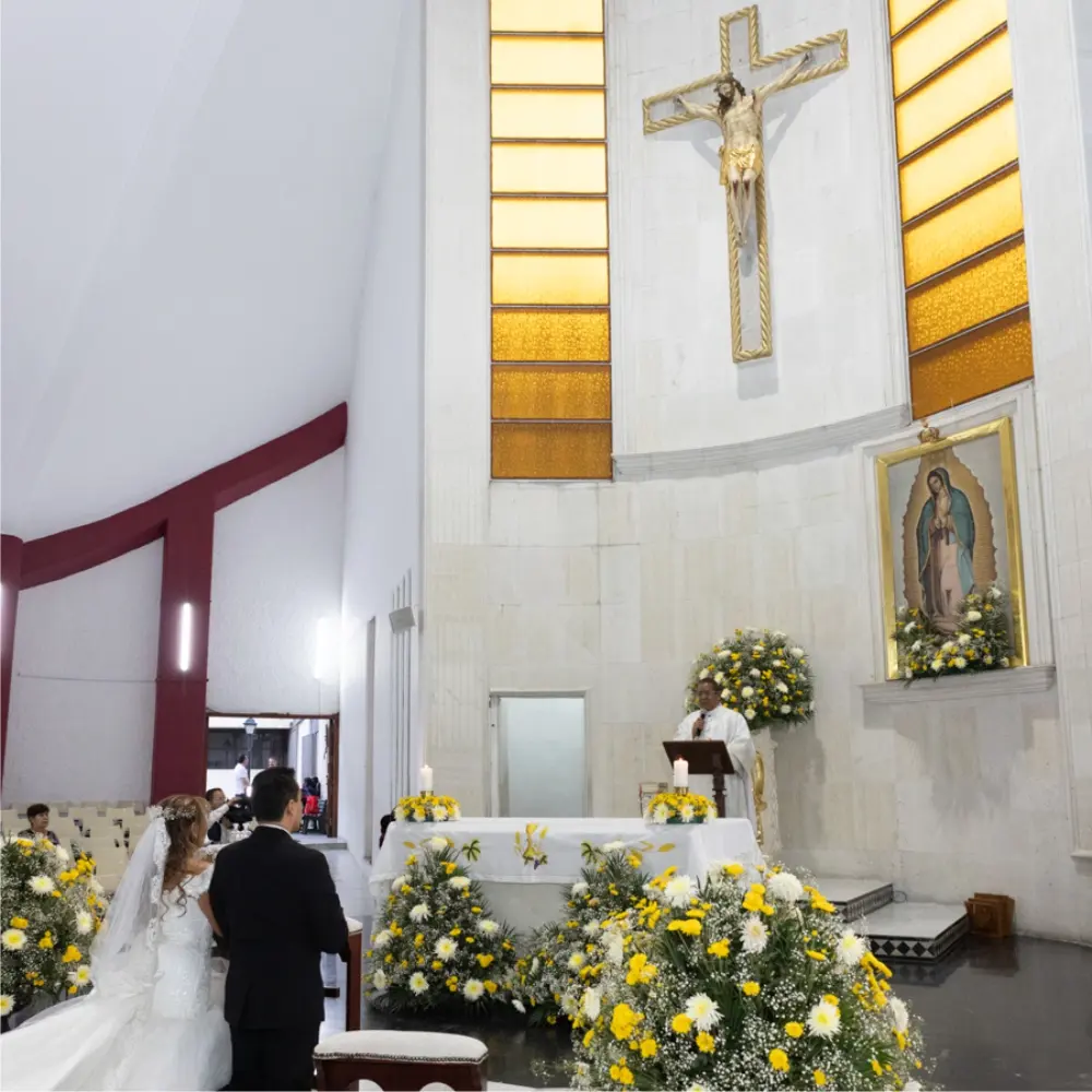 Bodas de Plata Michel y Benjamín videosociales.com